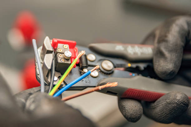 Best Electric Panel Repair  in Seymour, WI